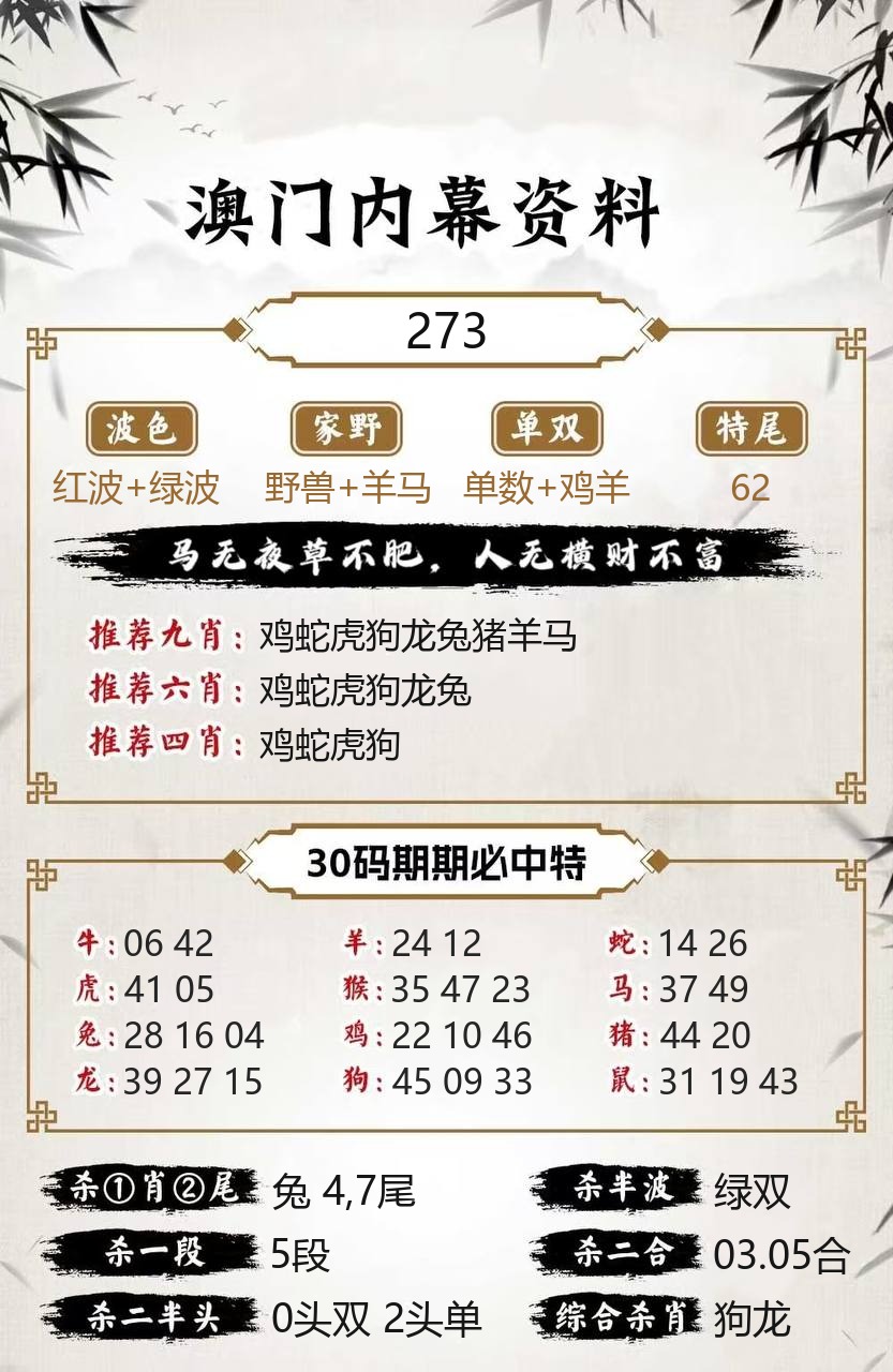 澳门新新彩内幕资料模板